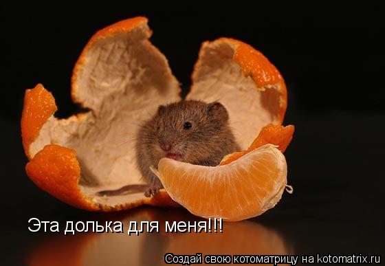 Эта долька для меня!!!... Котоматрица: Эта долька для меня!!!