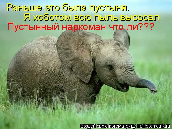 Раньше это была пустыня. Я хоботом всю пыль высосал Пустынный наркоман что ли???... Котоматрица: Раньше это была пустыня. Я хоботом всю пыль высосал Пустынный наркоман что ли???