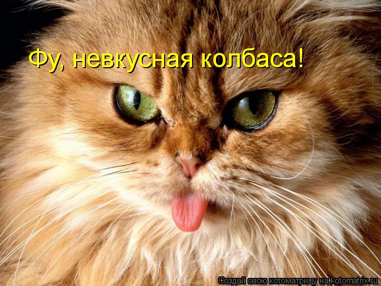 Фу, невкусная колбаса!... Котоматрица: Фу, невкусная колбаса!