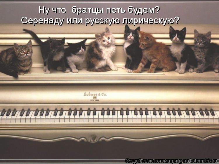 Ну что братцы петь будем? Серенаду или русскую лирическую?... Котоматрица: Ну что братцы петь будем? Серенаду или русскую лирическую?