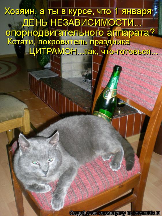 Хозяин, а ты в курсе, что 1 января ДЕНЬ НЕЗАВИСИМОСТИ... опорнодвигательного аппарата? Кстати, покро... Котоматрица: Хозяин, а ты в курсе, что 1 января ДЕНЬ НЕЗАВИСИМОСТИ... опорнодвигательного аппарата? Кстати, покровитель праздника ЦИТРАМОН...так, что-гото