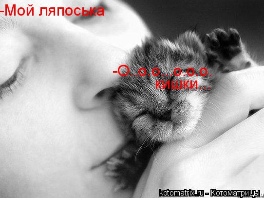 -Мой ляпоська -О..о.о...о.о.о. кишки...... Котоматрица: -Мой ляпоська -О..о.о...о.о.о. кишки...