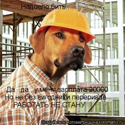 Надоело бить..... Да...да...у меня зарплата 20000 Но не без вигоднихи переривав РАБОТАТЬ НЕ СТАНУ... Котоматрица: Надоело бить..... Да...да...у меня зарплата 20000 Но не без вигоднихи переривав РАБОТАТЬ НЕ СТАНУ