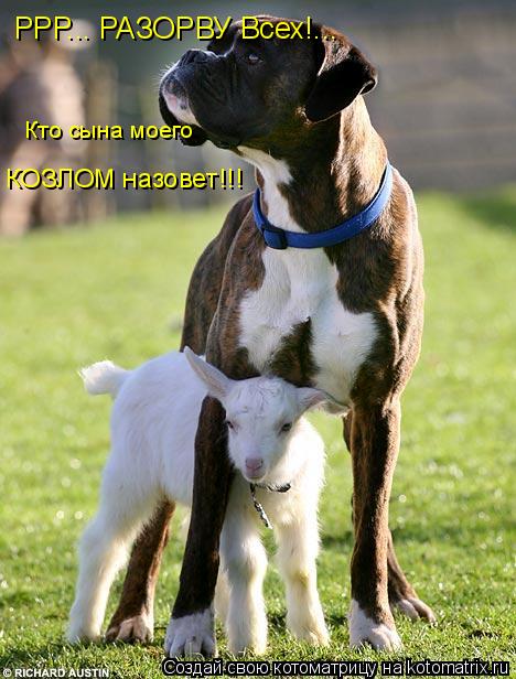 КОЗЛОМ назовет!!! Кто сына моего РРР... РАЗОРВУ Всех!...... Котоматрица: КОЗЛОМ назовет!!! Кто сына моего РРР... РАЗОРВУ Всех!...