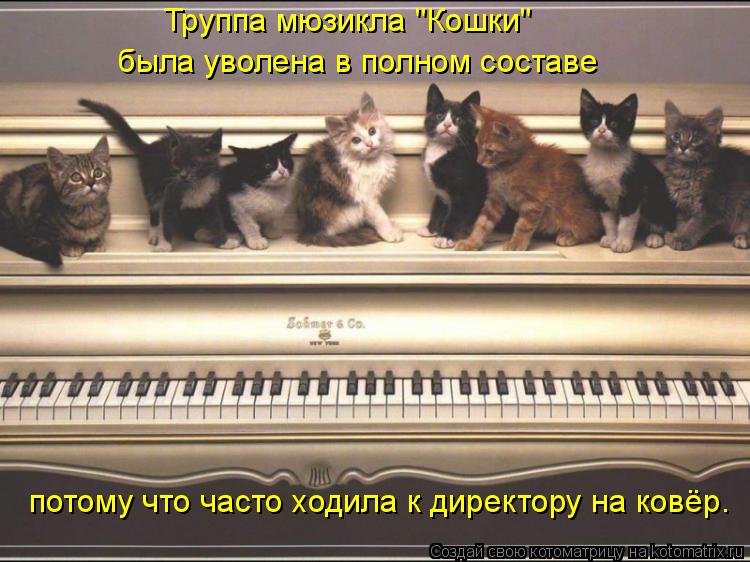 потому что часто ходила к директору на ковёр. Труппа мюзикла "Кошки" была уволена в полном составе... Котоматрица: потому что часто ходила к директору на ковёр. Труппа мюзикла "Кошки" была уволена в полном составе