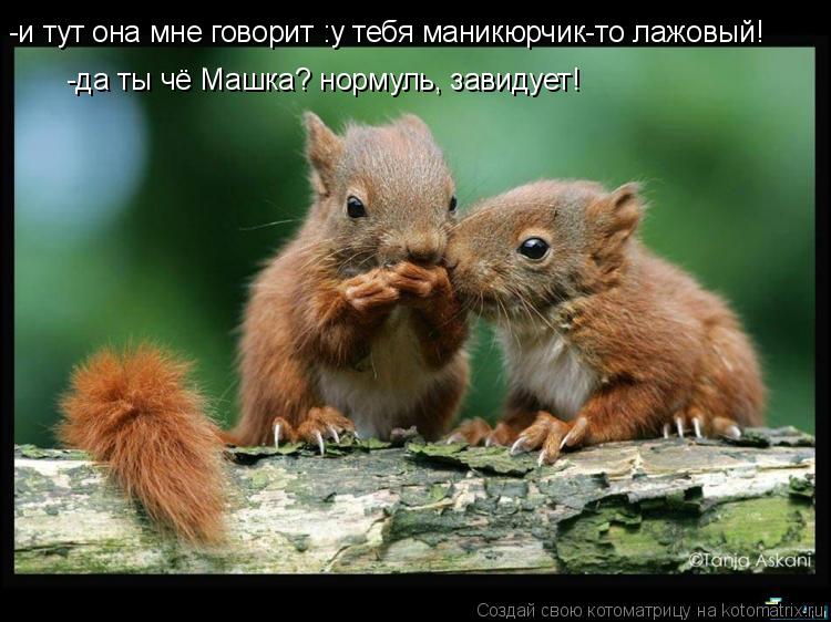 -да ты чё Машка? нормуль, завидует! -и тут она мне говорит :у тебя маникюрчик-то лажовый!... Котоматрица: -да ты чё Машка? нормуль, завидует! -и тут она мне говорит :у тебя маникюрчик-то лажовый!