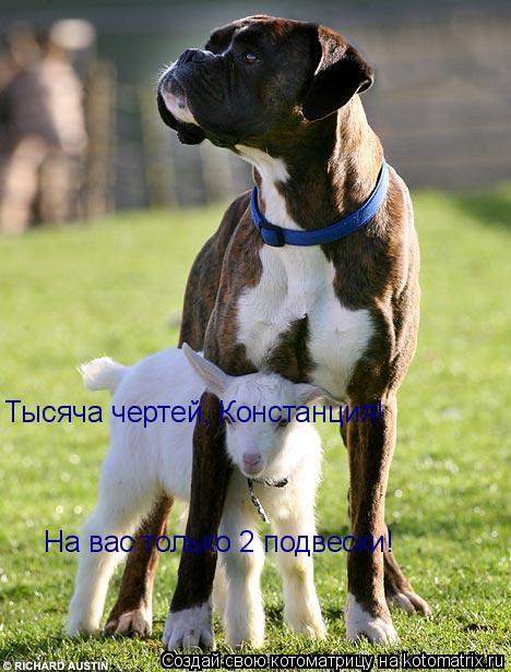 Тысяча чертей, Констанция! На вас только 2 подвески!... Котоматрица: Тысяча чертей, Констанция! На вас только 2 подвески!