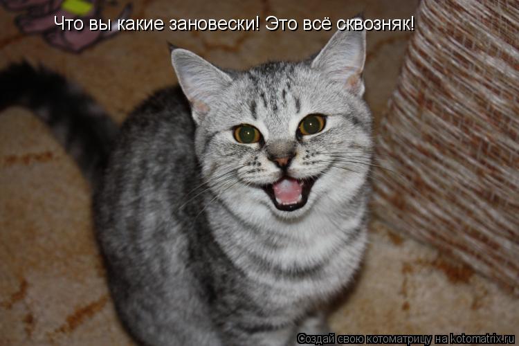 Что вы какие зановески! Это всё сквозняк!... Котоматрица: Что вы какие зановески! Это всё сквозняк!