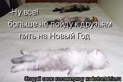 -Ну все! больше не пойду к друзьям пить на Новый Год... Котоматрица: -Ну все! больше не пойду к друзьям пить на Новый Год