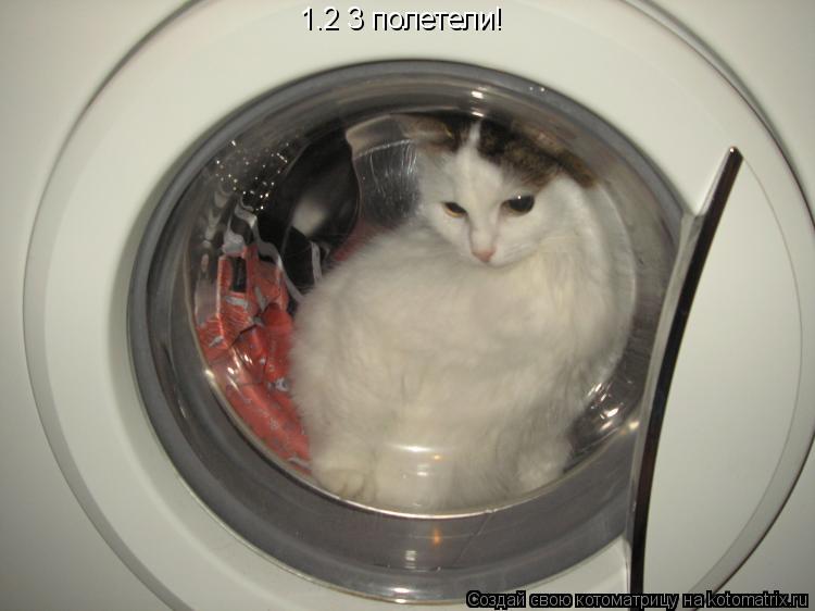 1.2 3 полетели!... Котоматрица: 1.2 3 полетели!
