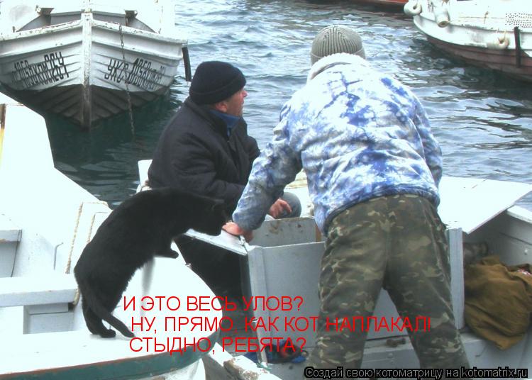 И ЭТО ВЕСЬ УЛОВ? НУ, ПРЯМО, КАК КОТ НАПЛАКАЛ! СТЫДНО, РЕБЯТА?... Котоматрица: И ЭТО ВЕСЬ УЛОВ? НУ, ПРЯМО, КАК КОТ НАПЛАКАЛ! СТЫДНО, РЕБЯТА?