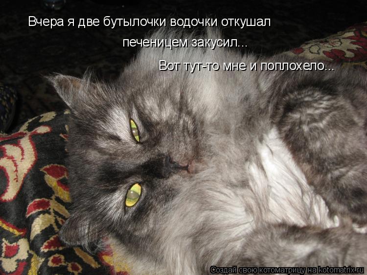 Вчера я две бутылочки водочки откушал печеницем закусил... Вот тут-то мне и поплохело...... Котоматрица: Вчера я две бутылочки водочки откушал печеницем закусил... Вот тут-то мне и поплохело...