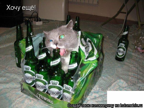 Хочу ещё!... Котоматрица: Хочу ещё!