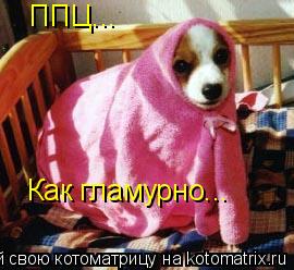 ППЦ... Как гламурно...... Котоматрица: ППЦ... Как гламурно...