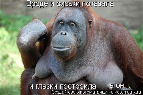 Вроде и сиськи показала и глазки построила а он...... Котоматрица: Вроде и сиськи показала и глазки построила а он...