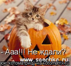 - Ааа!!! Не ждали?... Котоматрица: - Ааа!!! Не ждали?