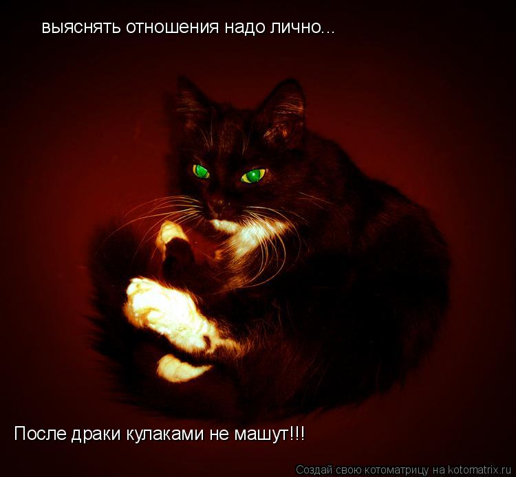 выяснять отношения надо лично... выяснять отношения надо лично... После драки кулаками не машут!!!... Котоматрица: выяснять отношения надо лично... выяснять отношения надо лично... После драки кулаками не машут!!!
