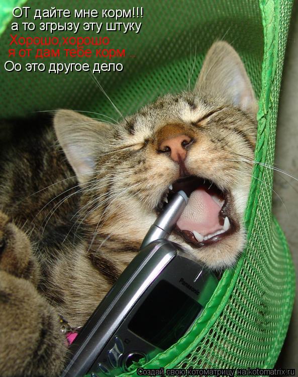 ОТ дайте мне корм!!! а то згрызу эту штуку Хорошо,хорошо я от дам тебе корм .. Оо это другое дело... Котоматрица: ОТ дайте мне корм!!! а то згрызу эту штуку Хорошо,хорошо я от дам тебе корм .. Оо это другое дело