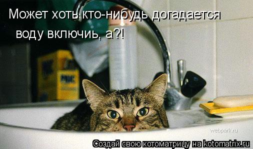 Может хоть кто-нибудь догадается воду включиь, а?!... Котоматрица: Может хоть кто-нибудь догадается воду включиь, а?!