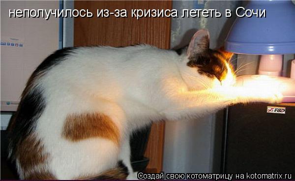 неполучилось из-за кризиса лететь в Сочи... Котоматрица: неполучилось из-за кризиса лететь в Сочи