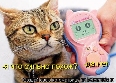 -я что сильно похож? -да нет... Котоматрица: -я что сильно похож? -да нет