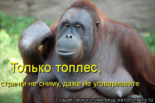 Только топлес, стринги не сниму, даже не уговаривайте... Котоматрица: Только топлес, стринги не сниму, даже не уговаривайте