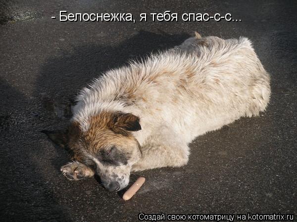 - Белоснежка, я тебя спас-с-с...... Котоматрица: - Белоснежка, я тебя спас-с-с...