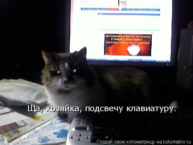 Ща, хозяйка, подсвечу клавиатуру.... Котоматрица: Ща, хозяйка, подсвечу клавиатуру.