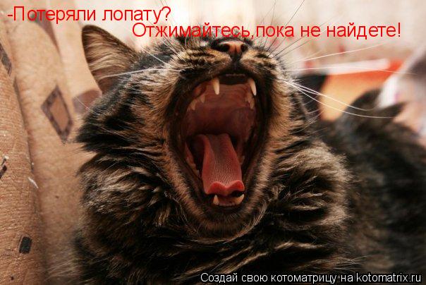 -Потеряли лопату? Отжимайтесь,пока не найдете!... Котоматрица: -Потеряли лопату? Отжимайтесь,пока не найдете!