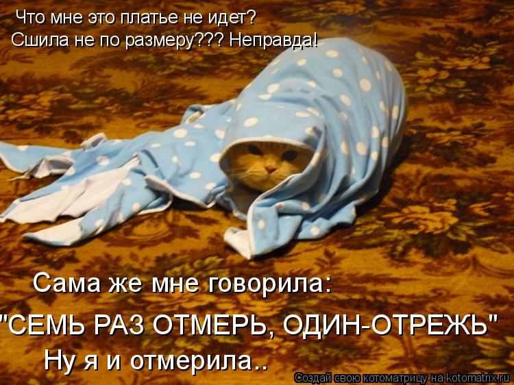 Что мне это платье не идет? "СЕМЬ РАЗ ОТМЕРЬ, ОДИН-ОТРЕЖЬ" Ну я и отмерила.. Сшила не по размеру??? Н... Котоматрица: Что мне это платье не идет? "СЕМЬ РАЗ ОТМЕРЬ, ОДИН-ОТРЕЖЬ" Ну я и отмерила.. Сшила не по размеру??? Неправда! Сама же мне говорила: