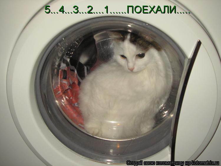 5...4...3...2....1......ПОЕХАЛИ........ Котоматрица: 5...4...3...2....1......ПОЕХАЛИ.....