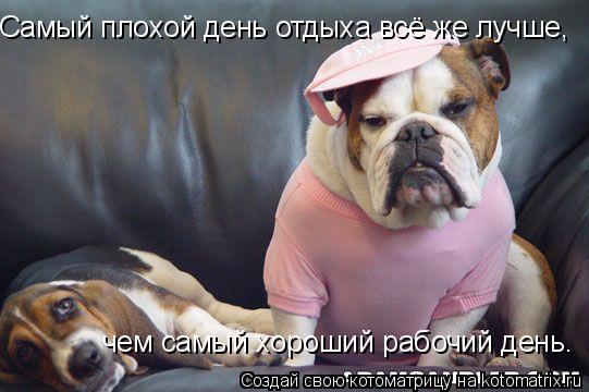 Самый плохой день отдыха всё же лучше, чем самый хороший рабочий день.... Котоматрица: Самый плохой день отдыха всё же лучше, чем самый хороший рабочий день.