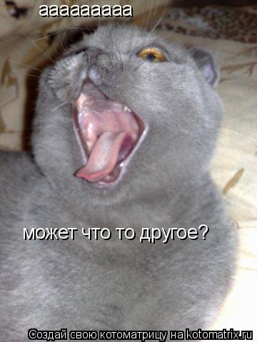 ааааааааа может что то другое?... Котоматрица: ааааааааа может что то другое?