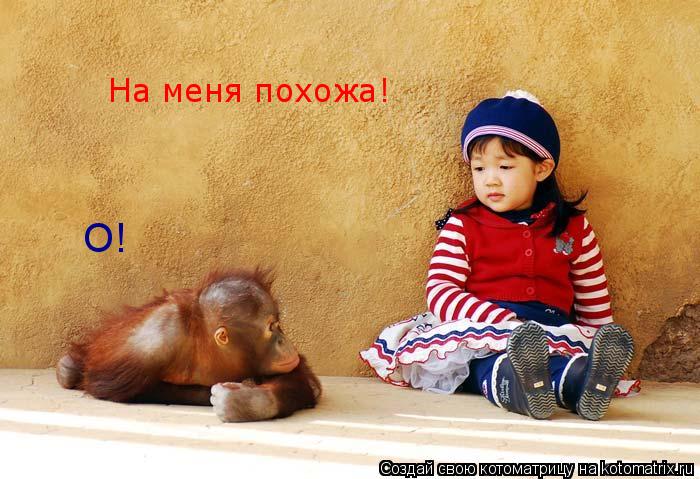 О! На меня похожа!... Котоматрица: О! На меня похожа!