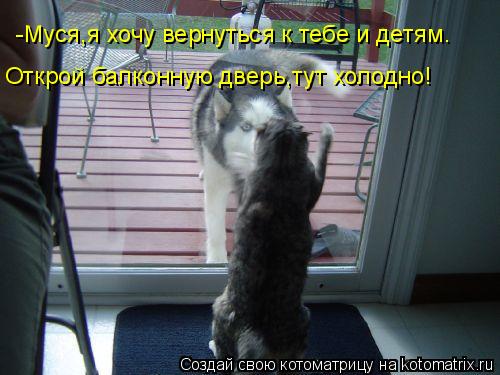 -Муся,я хочу вернуться к тебе и детям. Открой балконную дверь,тут холодно!... Котоматрица: -Муся,я хочу вернуться к тебе и детям. Открой балконную дверь,тут холодно!