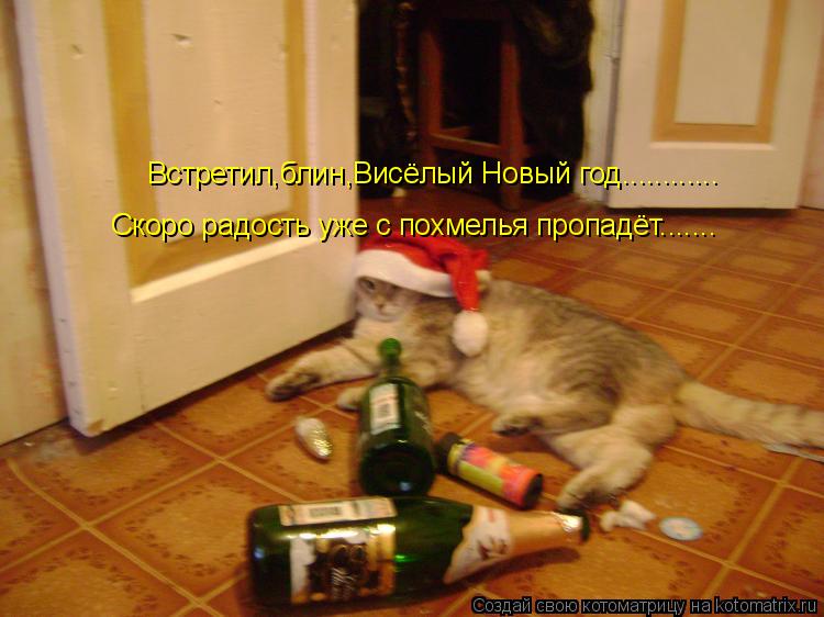Встретил,блин,Висёлый Новый год............ Скоро радость уже с похмелья пропадёт.......... Котоматрица: Встретил,блин,Висёлый Новый год............ Скоро радость уже с похмелья пропадёт.......