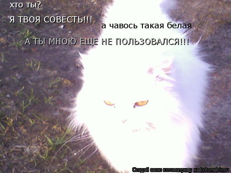 хто ты? Я ТВОЯ СОВЕСТЬ!!! а чавось такая белая А ТЫ МНОЮ ЕЩЕ НЕ ПОЛЬЗОВАЛСЯ!!!... Котоматрица: хто ты? Я ТВОЯ СОВЕСТЬ!!! а чавось такая белая А ТЫ МНОЮ ЕЩЕ НЕ ПОЛЬЗОВАЛСЯ!!!