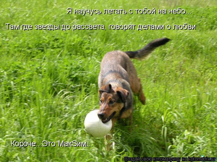 Я научусь летать с тобой на небо... Там где звезды до рассвета, говорят делами о любви Короче...Это М... Котоматрица: Я научусь летать с тобой на небо... Там где звезды до рассвета, говорят делами о любви Короче...Это МакSим...