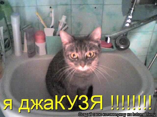 я джаКУЗЯ !!!!!!!!... Котоматрица: я джаКУЗЯ !!!!!!!!