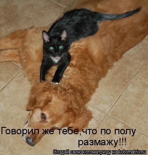 Говорил же тебе,что по полу размажу!!!... Котоматрица: Говорил же тебе,что по полу размажу!!!