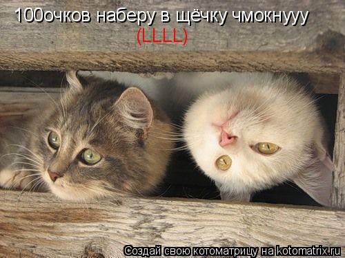100очков наберу в щёчку чмокнууу (LLLL)... Котоматрица: 100очков наберу в щёчку чмокнууу (LLLL)