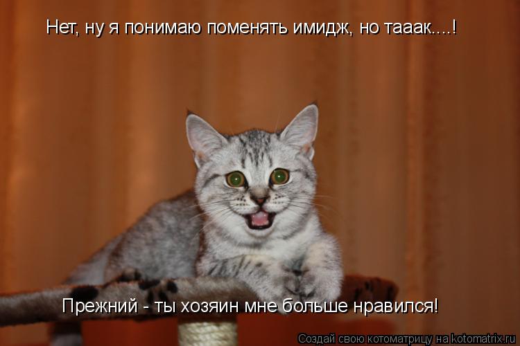 Нет, ну я понимаю поменять имидж, но тааак....! Прежний - ты хозяин мне больше нравился!... Котоматрица: Нет, ну я понимаю поменять имидж, но тааак....! Прежний - ты хозяин мне больше нравился!