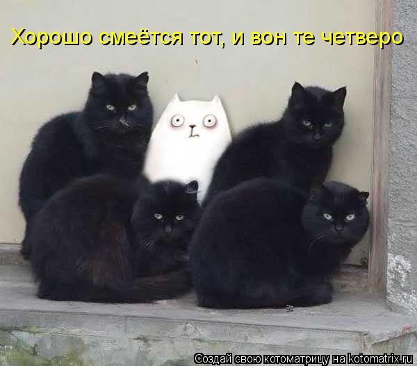 Хорошо смеётся тот, и вон те четверо... Котоматрица: Хорошо смеётся тот, и вон те четверо