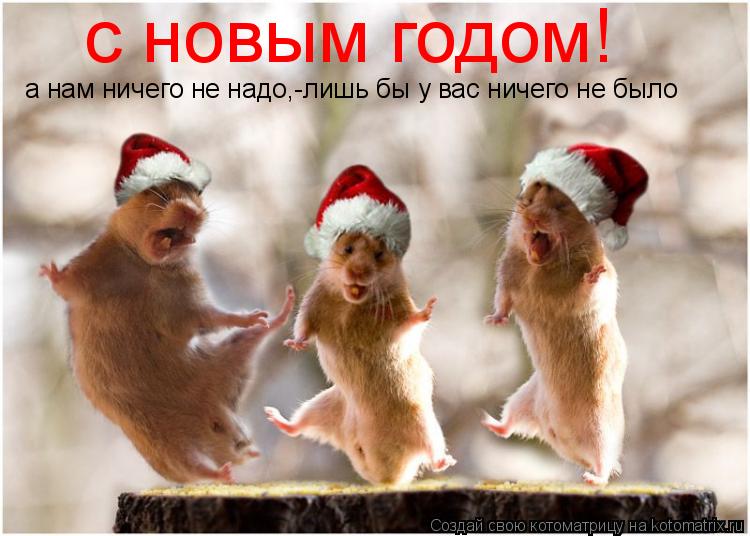 с новым годом! а нам ничего не надо,-лишь бы у вас ничего не было... Котоматрица: с новым годом! а нам ничего не надо,-лишь бы у вас ничего не было