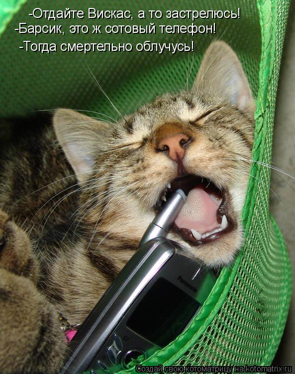 -Отдайте Вискас, а то застрелюсь! -Барсик, это ж сотовый телефон! -Тогда смертельно облучусь!... Котоматрица: -Отдайте Вискас, а то застрелюсь! -Барсик, это ж сотовый телефон! -Тогда смертельно облучусь!