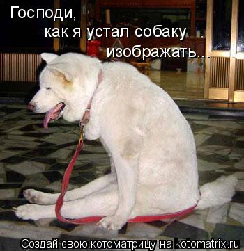 Господи, как я устал собаку изображать...... Котоматрица: Господи, как я устал собаку изображать...
