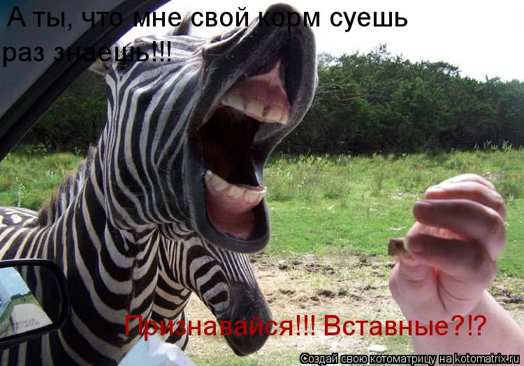 Признавайся!!! Вставные?!? А ты, что мне свой корм суешь раз знаешь!!!... Котоматрица: Признавайся!!! Вставные?!? А ты, что мне свой корм суешь раз знаешь!!!