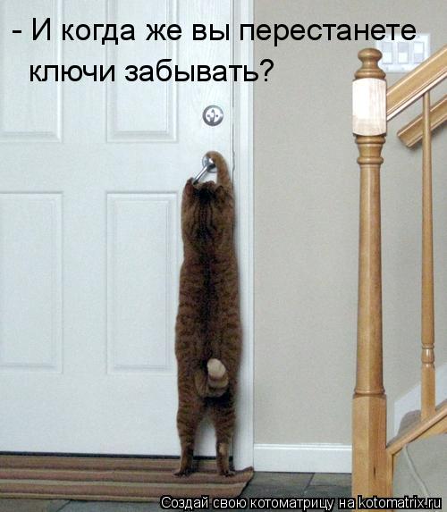 - И когда же вы перестанете ключи забывать?... Котоматрица: - И когда же вы перестанете ключи забывать?