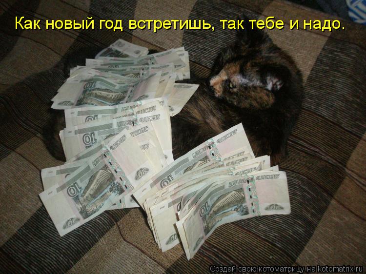 Как новый год встретишь, так тебе и надо.... Котоматрица: Как новый год встретишь, так тебе и надо.