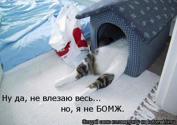Ну да, не влезаю весь... но, я не БОМЖ.... Котоматрица: Ну да, не влезаю весь... но, я не БОМЖ.